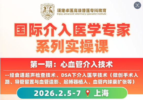 国际顶尖介入医学专家系列实操课开讲在即