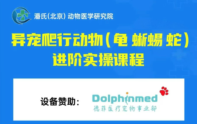 德菲医疗即将助力潘氏动物医学研究院“异宠爬行动物（龟、蜥蜴、蛇）”进阶实操课程